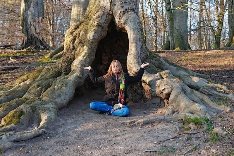 One With Everything | Meditation In Nature
